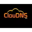 ClouDNS 网站图标