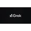 Grok 网站图标