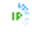 Ipleak 网站图标